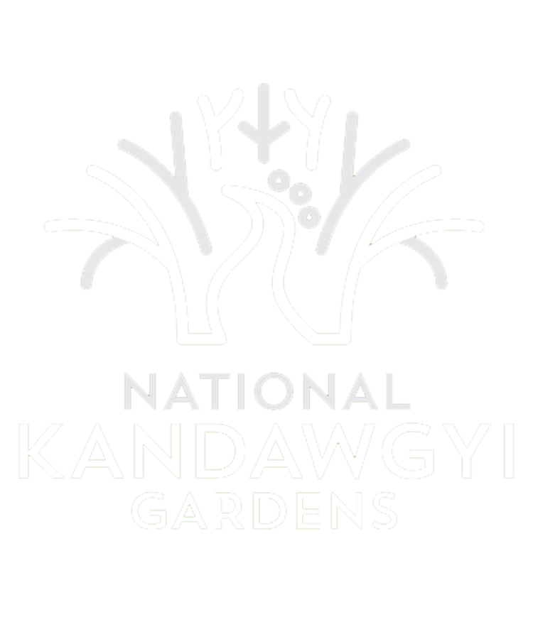 National Kandawgyi  Gardens