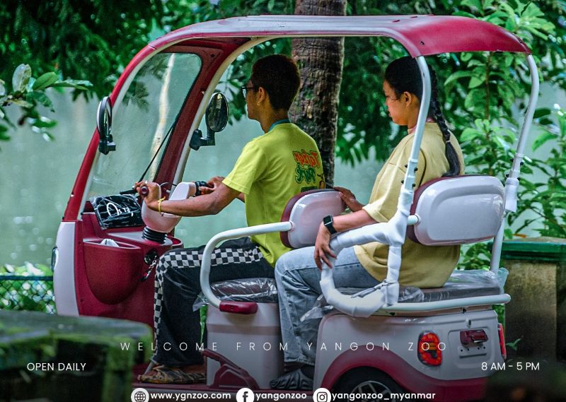 Mini Buggy
