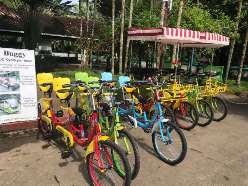 Bicycle