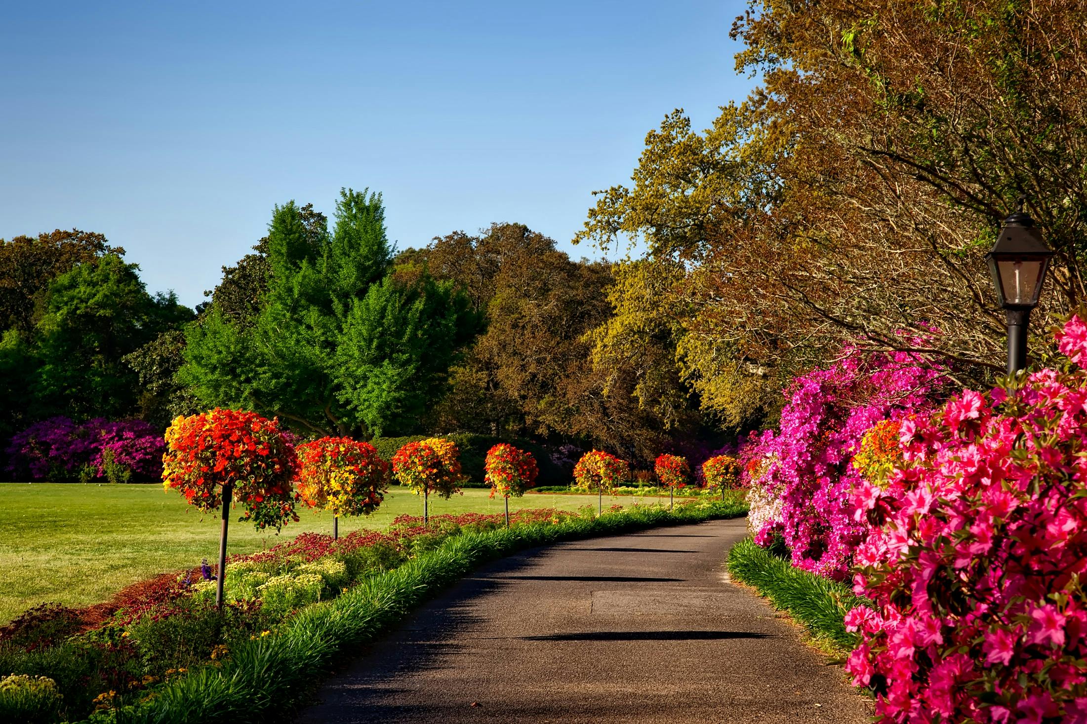 Welcome to National Kandawgyi  Gardens